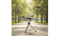 Cane Stool Foldable with Seat Lightweight with Seat for Elderly, Seniors, Waiting in Line, Travel, Outdoor
