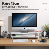 2 Tier Monitor Stand Riser with Desk Storage, Desktop Organizer for Home Office Accessories, Computer with Shelf, PVC Wood Board