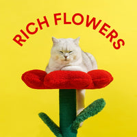 zeze新年盆栽有钱花猫窝保暖猫爬架半封闭式猫咪屋猫别墅宠物用品