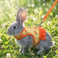 Pet Harness and Leash Set, Printed Polyester Walking Vest and Bunny Harness, Adjustable Vest for Small Pets, Comfortable Fit Outdoor Walking Use