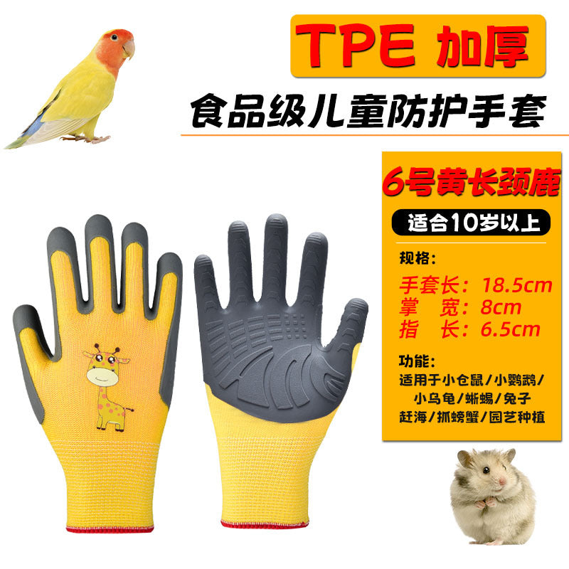 6 Yellow Giraffe