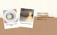 LED spotlight, 10-55° zoom