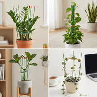 Plant Support Stakes for Climbing Plants, Flowers, and Vegetables - Metal Garden Trellis Netting Rods