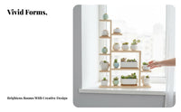 Multi-Tier Succulent Rack Staggered Levels Plant Stand Sturdy Construction