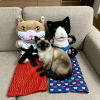 Interactive Cat Boxing Toy with Hand Puppet