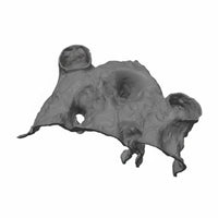 Breeding Cave House Hiding Refuge Pet Decor Stackable