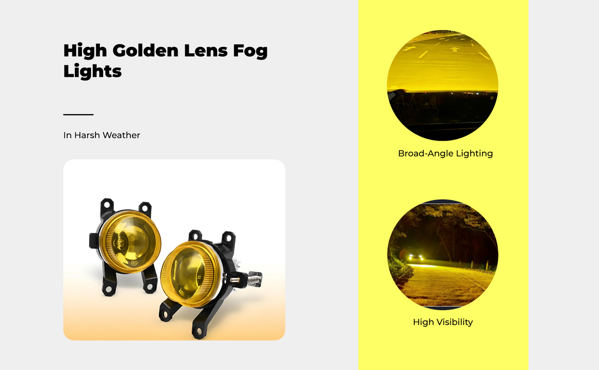 Front Fog Light Assembly for Minivan, 2011-2017