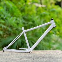 Rim Brake Compatible 26-Inch Mountain Bike Frame Sturdy Mountain Bike Frame with Mounting Points Clean Reinforced for Riders
