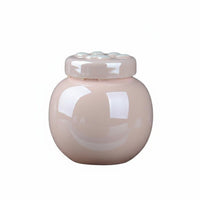 Pet Remains Urn Water-Resistant-Proof Ceramic Pet Urn