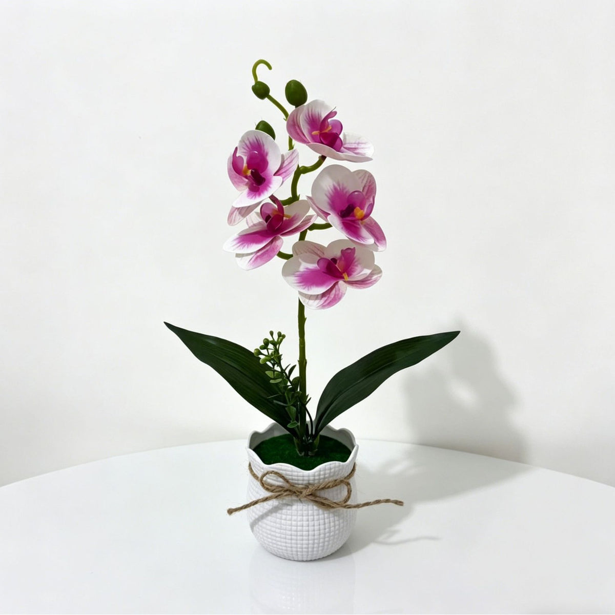 White Purple