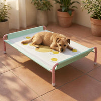 Raised Pet Cot Breathable Elevated Dog Bed Metal Frame for Indoor