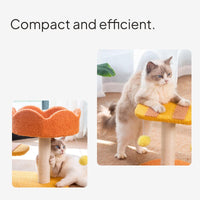 Cartoon Cat Tree Condo with Scratching Post