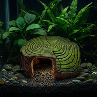 Rock Arch Turtle Tank Accessories Turtle Basking Perch, Resin Aquarium Rock Cave Habitat for Freshwater Aquarium