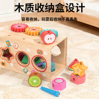 Wooden Animal Shape Sorting Toy with Fruit Matching and Fishing Game