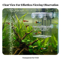Buoyant Aquatic Breeding Box Suction Holder Mount Aquatic Breeder Box Fry Hatchery Double Placement for Aquarists