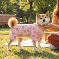 Four-Legged Rehabilitative Dog Suit for Large Breeds, Crew Neck Four-Legged Clothing, Anti-Licking Spring Summer Autumn Casual Outfit