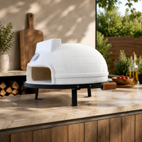 ceramic pizza oven