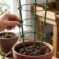 Garden Climbing Plant Support Trellis for Roses Clematis Morning Glory Potted Flowers