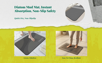 Diatomaceous Earth Bath Mat quick-dry