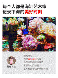 背滤海水缸珊瑚缸新手中小型客厅桌面方缸超白鱼缸免换水懒人造景 黑色海水入门款背滤50*30*30