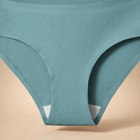 Underwear Women Moisture Wicking with Seamless No Show Design, Ladies Knickers in Ice Silk Nylon for Gym and Everyday Wear, Low Waist