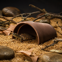 Land Turtle Ceramic Hiding Spot, Natural Breathing Reptile Shelter, for Terrarium, Brown