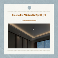 Adjustable narrow-beam LED spotlight