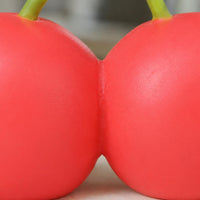 Two Cherry Soft Sensory Item Transparent PVC Box