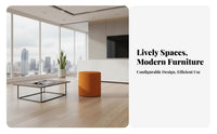 Loveseat and Armchair Combo Modern Design Loveseat Soft Upholstery for Clients