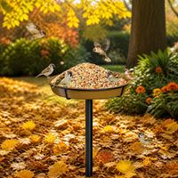 Garden Art Feeder, Outdoor Feeding Station, Weather Resistant Metal Construction, Sturdy Ground Insert for Wild Birds