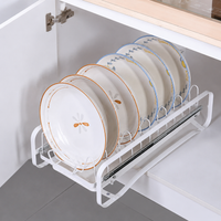 pull-out dish rack