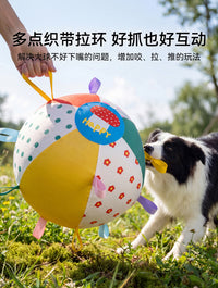 宠物玩具球耐咬耐磨磨牙洁齿狗狗自嗨解闷互动训练球宠物玩具用品