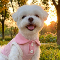 Dog T-Shirt for Small Breeds, Ribbed T-Shirt Style Small Dog Clothes, Polyester Pet Summer Wear, Sleeveless Spring Summer Outfit 1pk
