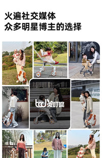 遛娃神器轻便可折叠一键收宝宝高景观溜娃儿童简易小巧婴儿手推车 【兔叮咚X1】小熊白+遮阳棚+坐垫+置物袋+水杯架