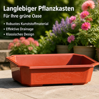 Rectangular Flower Box, Terracotta-Look Planter, Balcony Box with Drainage, 240ml, 5 Pieces, for Flowers & Herbs