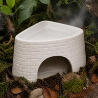 Reptile Hideout and Humidifying Cave for Lizards, Spiders, and Snakes