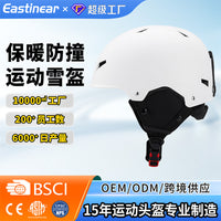 Professional Ski Helmet for Adults with Warm Lining and Impact Protection