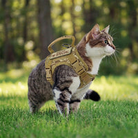 Vest Style Cat Harness and Leash Set with Bungee, Polyester Adjustable Cat Walking Harness with Handle and Patch Area for Secure Outdoor Pet Walking
