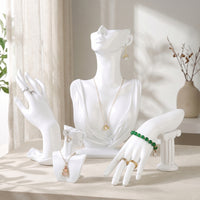4 Pieces Smooth Jewelry Mannequin Display Set White Bust Holder Versatile Necklace Bust Mannequin Sturdy for Jewelers
