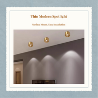 Brass Adjustable LED Spotlight