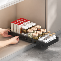 pull-out cabinet organizer
