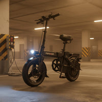Portable Folding Electric Bike Double Disc Brakes Small Folding Electric Bike Compact Adult Electric Bicycle