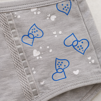 Ladies Pants Multipack for Women in Breathable 95% Material, Comfortable Mid-Rise Underwear Postpartum and C Section