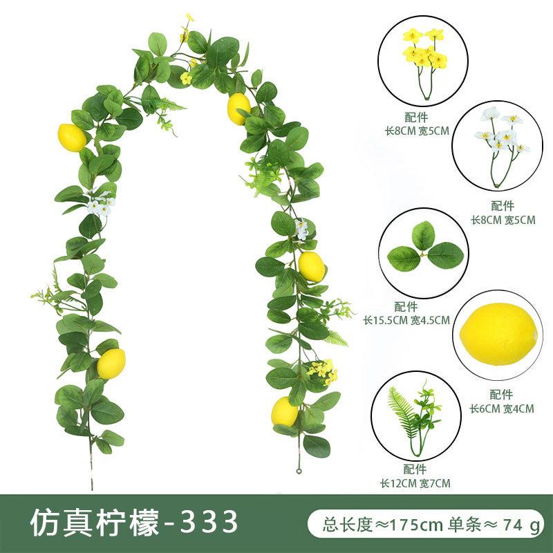 Lemon Vine 333