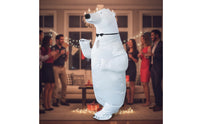 Character Inflatable Costume