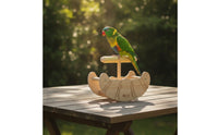Wood Bird Perch Stand Safe Rocking Bird Perch Long-Lasting Stable for Parrots, Tabletop