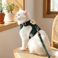 Vest Harness and Harness Leash Set for Dog Walking, Polyester No Pull Pet Harness, Secure Resistant Patterned Walking Harness for Outdoor Pet
