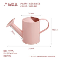 跨境现货儿童浇水花洒壶阳台浇花铁艺小喷壶园艺工具家用喷水洒壶