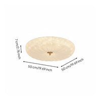 Modern Minimalist Ceiling Lamp Luxury Look Indoor Lighting Soft Radiance