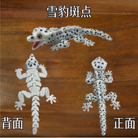 跨境可磁吸仿真睫角守宫蜥蜴关节可动玩具工艺摆件塑料工艺品